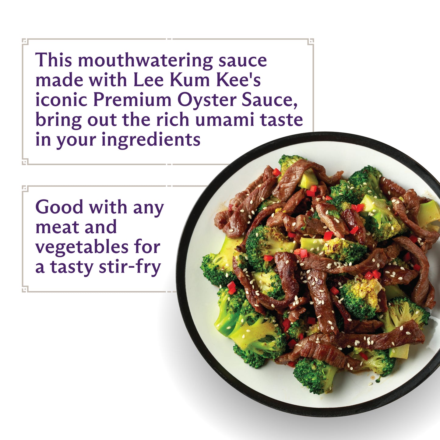 Lee Kum Kee Rich & Savoury Noodle Stir Fry Sauce 50g (Short Dated) (Pack of 3)